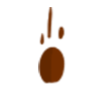 seed