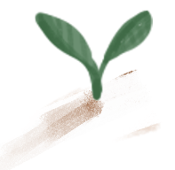 seedling