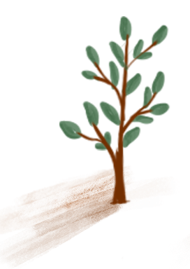 stem